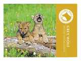 Grey Wolf informational brochure