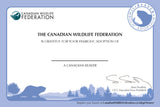 Beaver Adoption Kit|Trousse d’adoption – castor