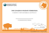 Bison Adoption Kit|Trousse d’adoption – bison