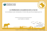 Grey Wolf Adoption Kit|Trousse d’adoption – loup gris