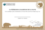 Grizzly Bear Adoption Kit|Trousse d’adoption – grizzli