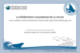 North Atlantic Right Whale Adoption Kit|Trousse d’adoption –  Baleine noire de l'Atlantique nord