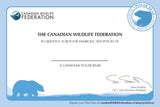 Polar Bear Adoption Kit|Trousse d’adoption – ours polaire