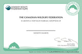 Salmon Adoption Kit|Trousse d’adoption – saumon rouge