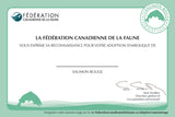 Salmon Adoption Kit|Trousse d’adoption – saumon rouge