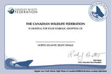 North Atlantic Right Whale Adoption Kit|Trousse d’adoption –  Baleine noire de l'Atlantique nord