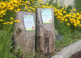 Certified Wildlife Friendly Garden Sign - Colour