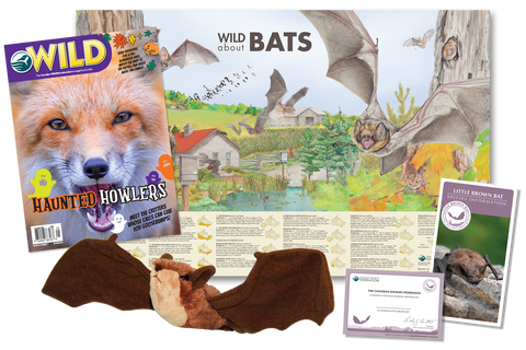 Help the Bats Bundle | Un ensemble chauves-souris de la FCF