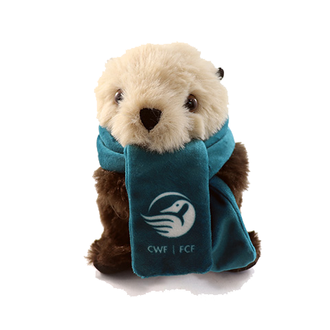 Sea Otter Adoption Kit|Trousse d’adoption – loutre de mer