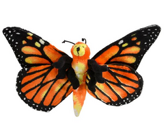 Monarch Butterfly Adoption Kit|Trousse d’adoption du monarque