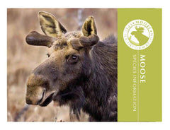 Moose Adoption Kit|Trousse d’adoption – orignal