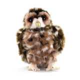 Spotted Owl Plush Toy